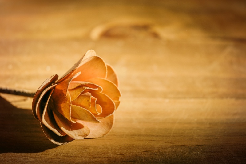 Profilbild von Helmut Pohl